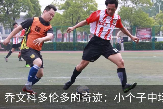 乔文科多伦多的奇迹：小个子中场的适配与突围