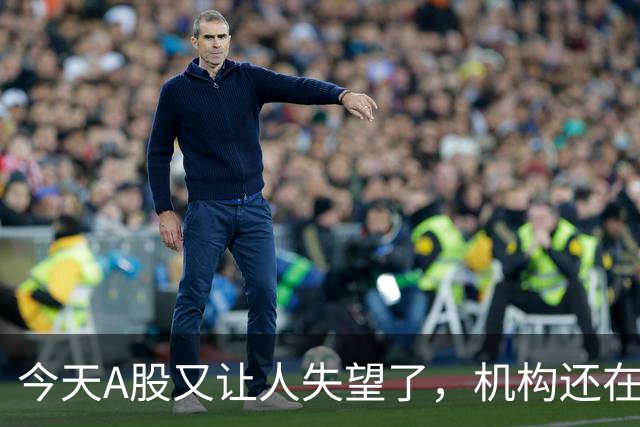 今天A股又让人失望了，机构还在猛砸科技……