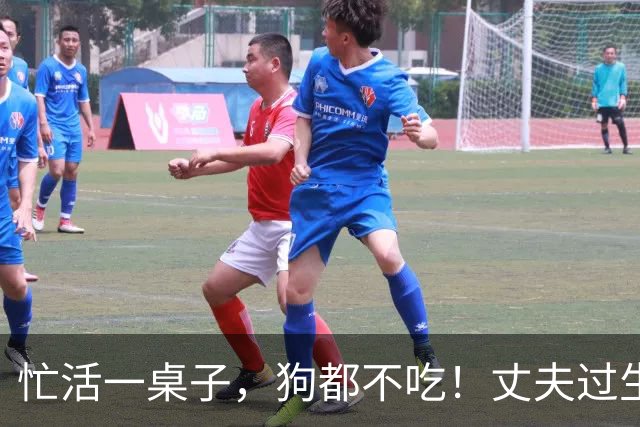 忙活一桌子，狗都不吃！丈夫过生日，妻子自我感动 ，网友吐槽