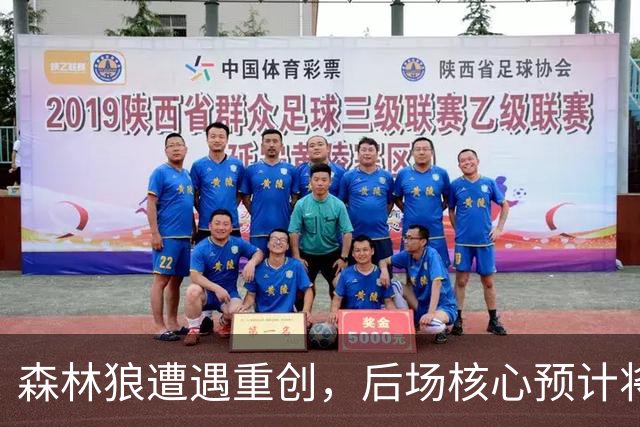森林狼遭遇重创，后场核心预计将缺席两个月的时间？