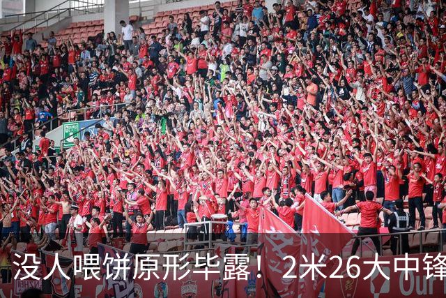 没人喂饼原形毕露！2米26大中锋仅5分2板，球迷：杜锋真没骂错你