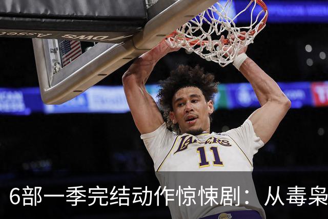 6部一季完结动作惊悚剧：从毒枭运货到卧底复仇，一晚刷完